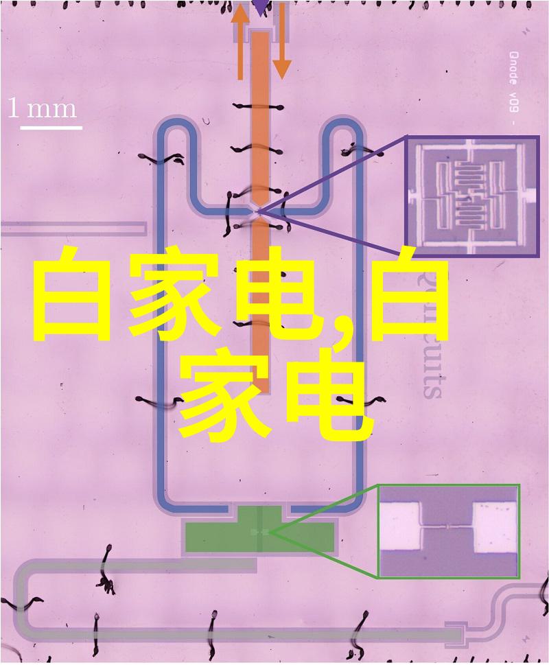 皇宫里的日常生活一位贵妃的承宠时光