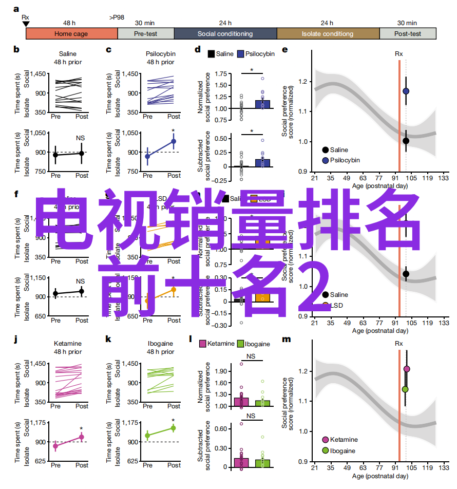 东港股份从海边到股市逆袭的潮汐之旅