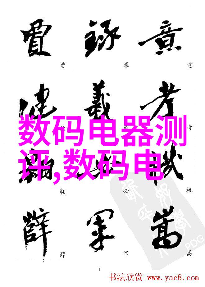 国内外经验中哪些因素决定了一个国家能否成功建立全国统一的大市场