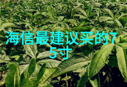 防水布洗涤后是否会影响其性能如何保养