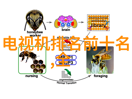 盘锦pe管生产厂家-盘锦市高品质PE管生产厂家介绍与选择指南