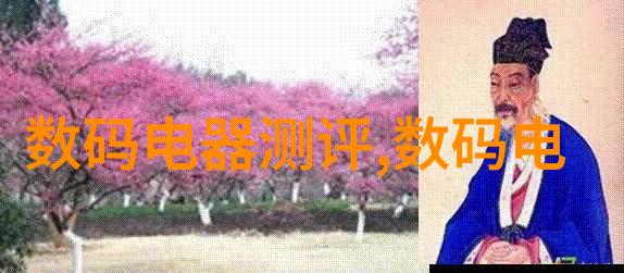 揭秘房子装修的神秘之门一场时间倒流的施工谜题