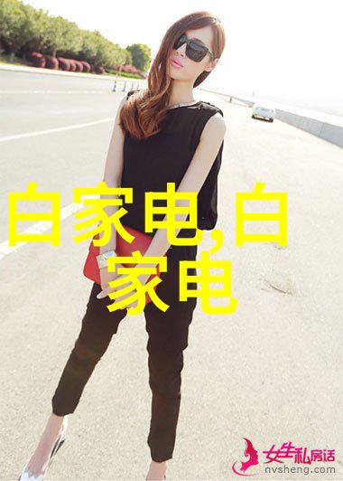 苹果iPhone XR2高清图曝光背部双摄像头如同画中花30张女性人像摄影作品欣赏让你沉醉于技术与艺