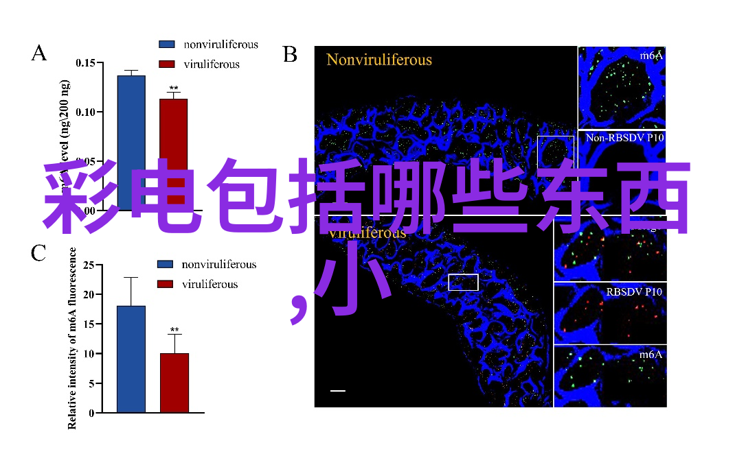 老师的小兔子好软水好多真人视频