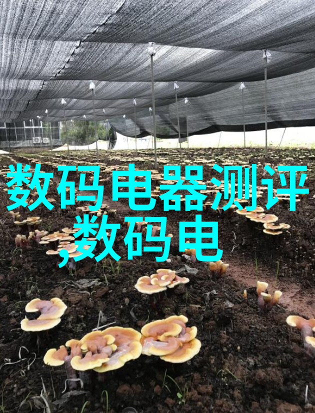 探索视角移轴镜头的艺术魅力与技术奥秘