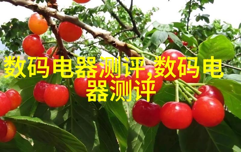 经典欧式厨房