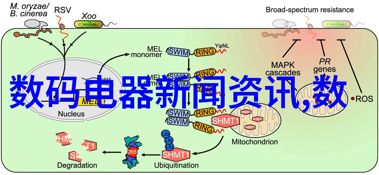 张高丽推进西线天然气等战略性大项目