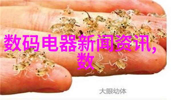 最新房子装修效果图 - 家居美学探索最新房子装修效果图中的设计灵感