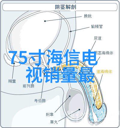 市场监督局管理范围食品药品监管消费者权益保护商品质量标准