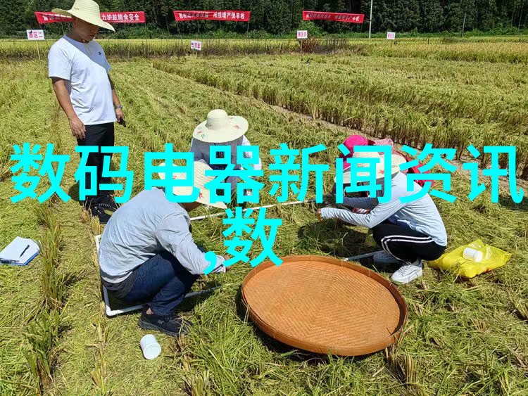 光线与色彩如何利用光和色彩构建画面