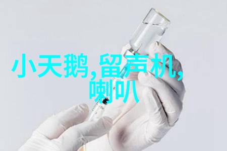 燃气蒸汽发生器火焰中的蒸汽之舞