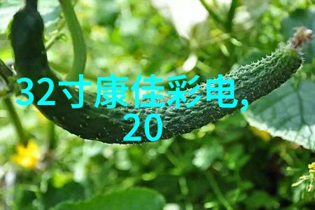 人工智能与知乎的融合技术深度与社交互动的新篇章