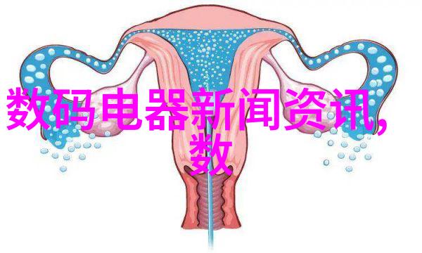 新疆边疆学子文化融合与未来梦想