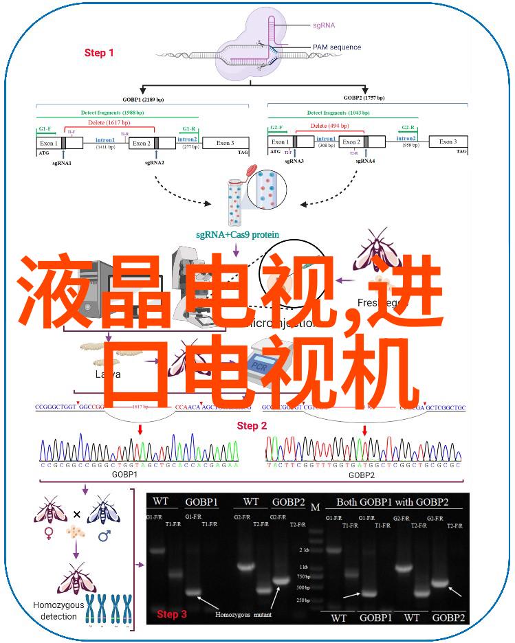 主题我是怎么用多参数水质检测仪帮忙查水的