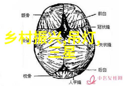 镜头后瞥揭秘影像之美的诞生