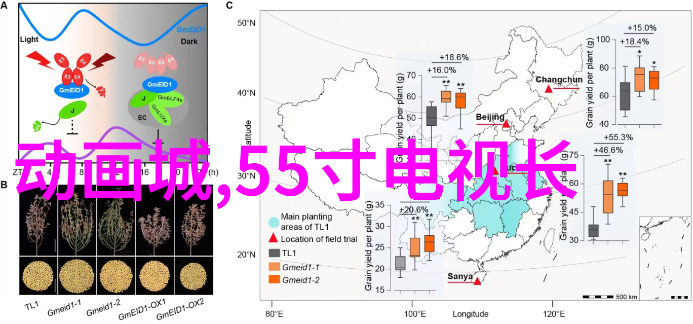 电机马达在自然界中的工作原理与绕线控制技巧探究揭秘电磁力如何作用于转子和定子的协同运动