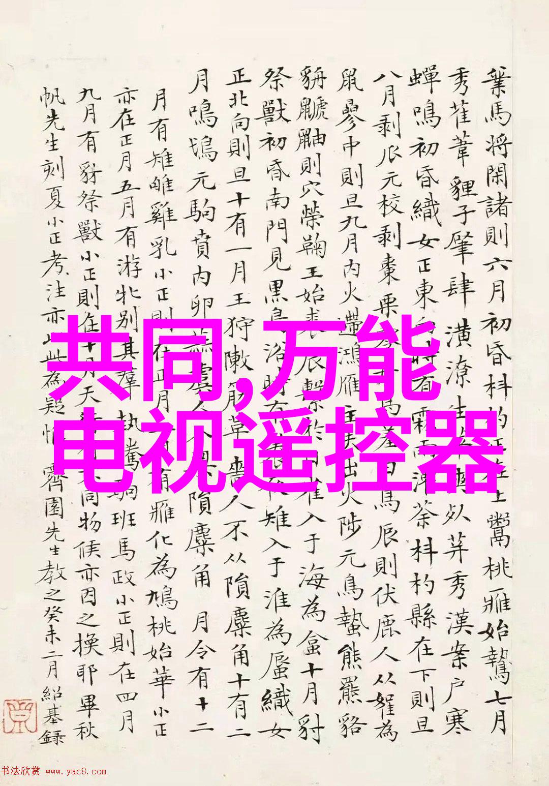 隐影摄像揭开镜头后面的秘密