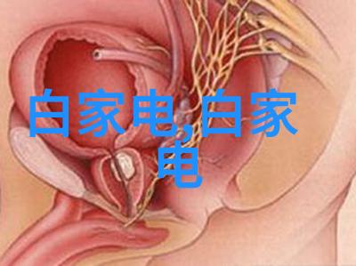 兄弟装饰使您的生活更加温馨