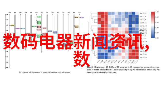 不锈钢喷头坚固耐用精细洗涤的守护者