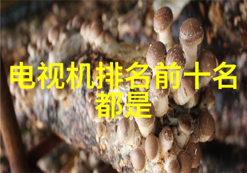 人像摄影入门掌握光影与姿态