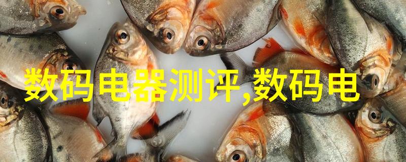 样板房设计装修我是怎么把那套小户型变成超级实用又美观的样板房的