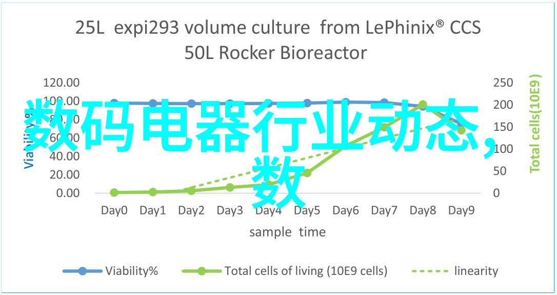 静谧的开端与喧嚣的开始