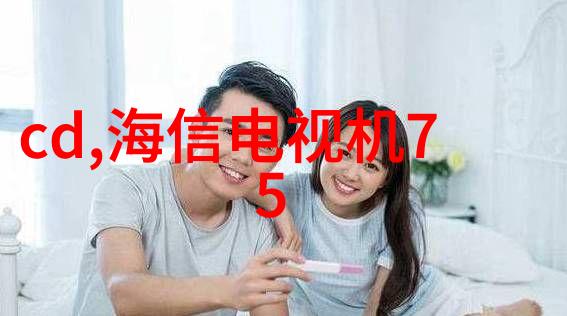 家居装修指南如何选择合适的家装设计方案