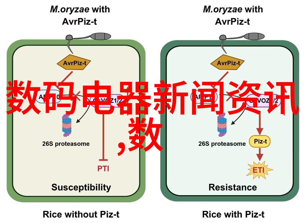 我们是否能从竞争对手或行业趋势中汲取灵感进行改进