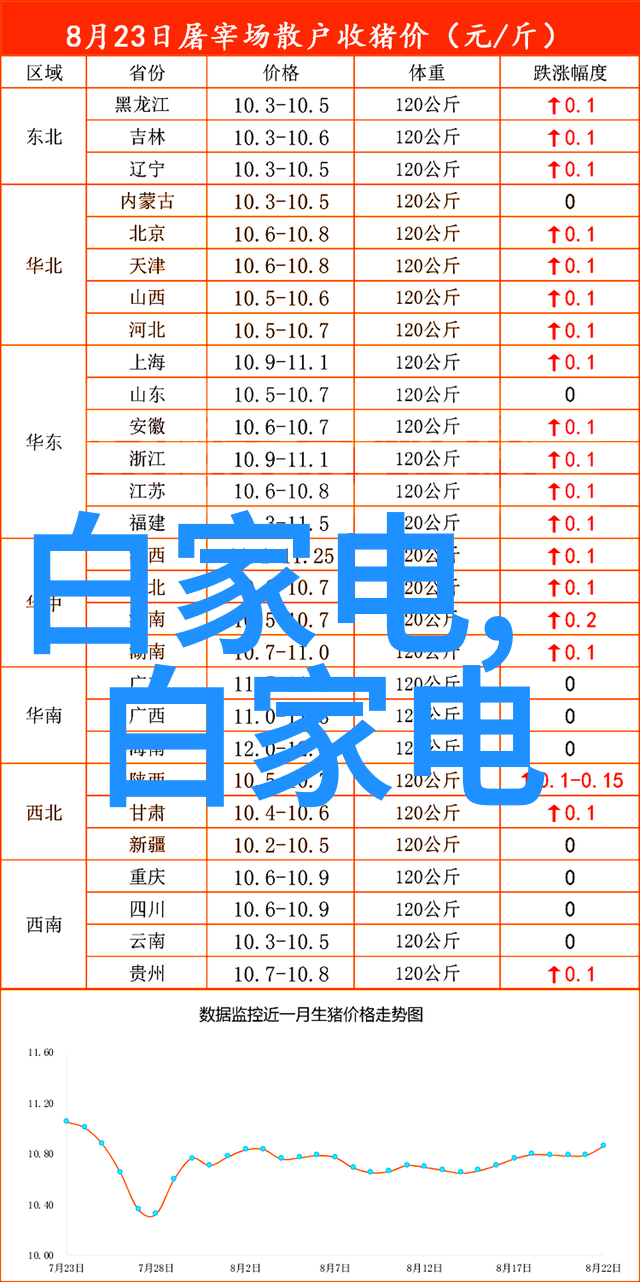 芯片宝库揭秘电子世界的微小奇迹