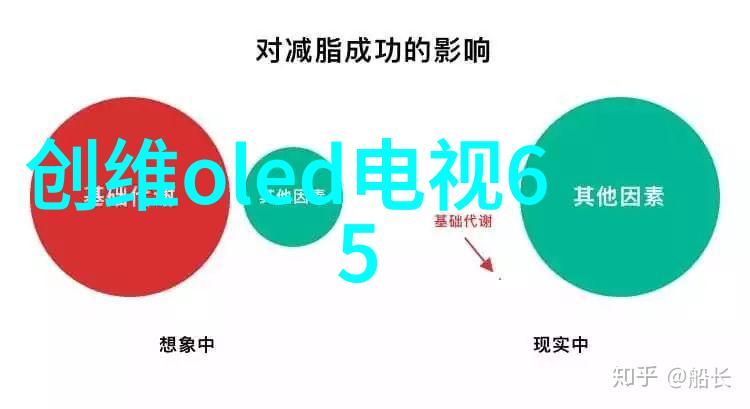 南京信息职业技术学院我在南京信息职院的奇妙学习之旅