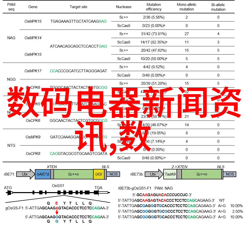 手机高清电视下载安装我的直播小窍门