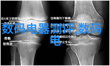 拍出精彩瞬间2022年全球华人摄艺展开幕前热闹一片