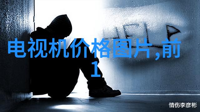 从规划到完工设计房子装修的全过程指南