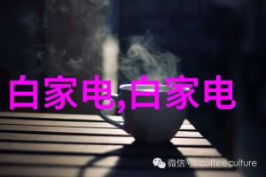 镜头的眼神摄影艺术的细腻探究