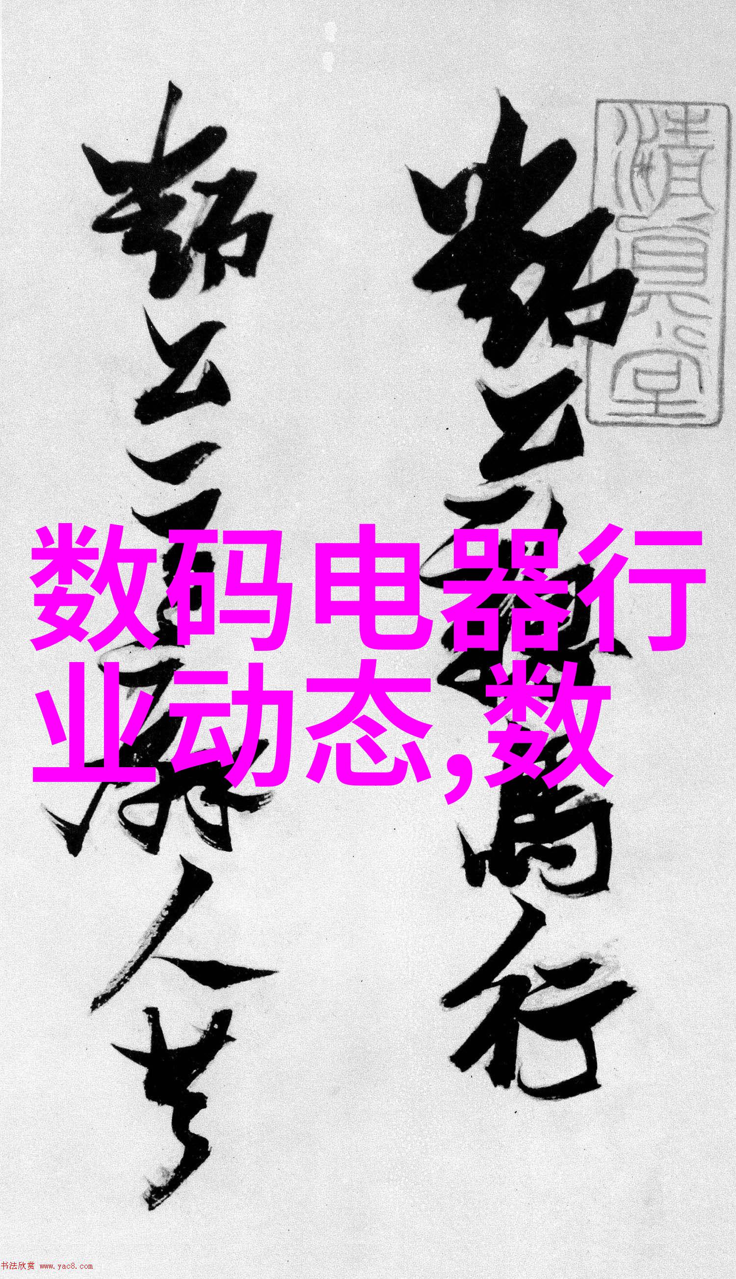 2021年全国摄影大赛参赛官网捕捉光影展现艺术之美