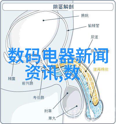 墨海幻境书房装修的艺术探索