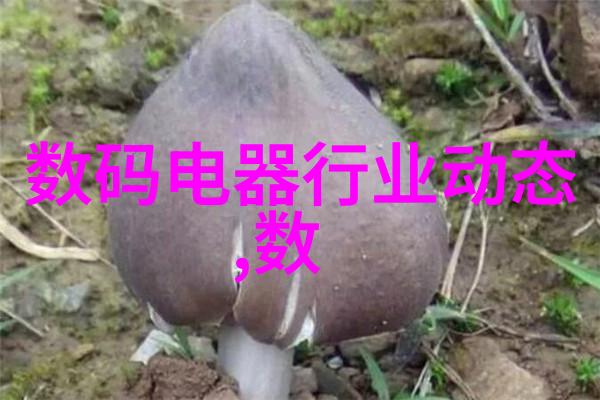 温馨宜人的家庭聚会场所精致装饰点子总结