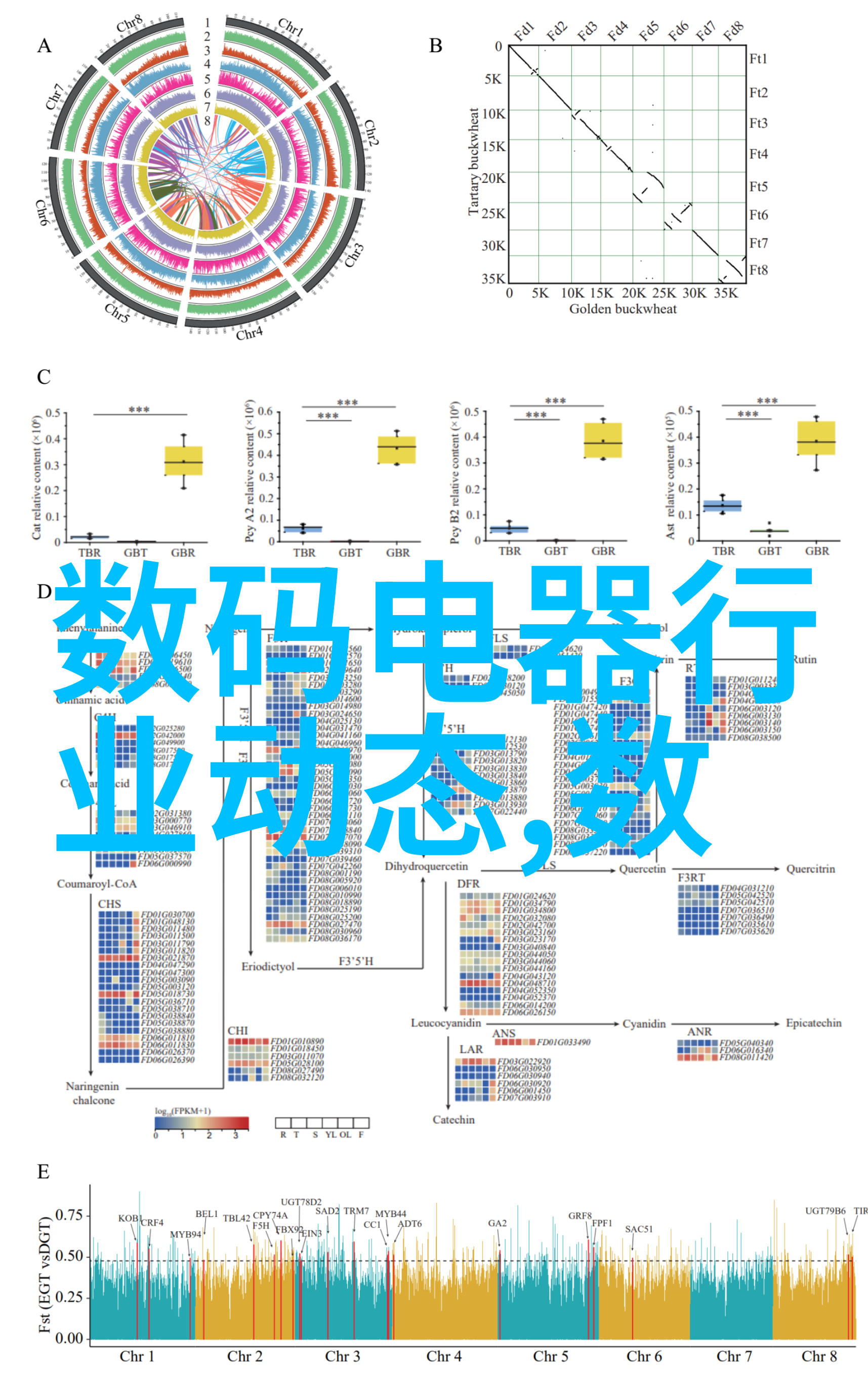 自己装修设计的免费软件-梦屋随心探索最全自制装修设计软件