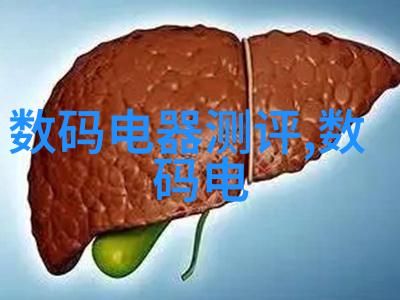 项目管理-ppp项目管理策略实施与监控的完美结合