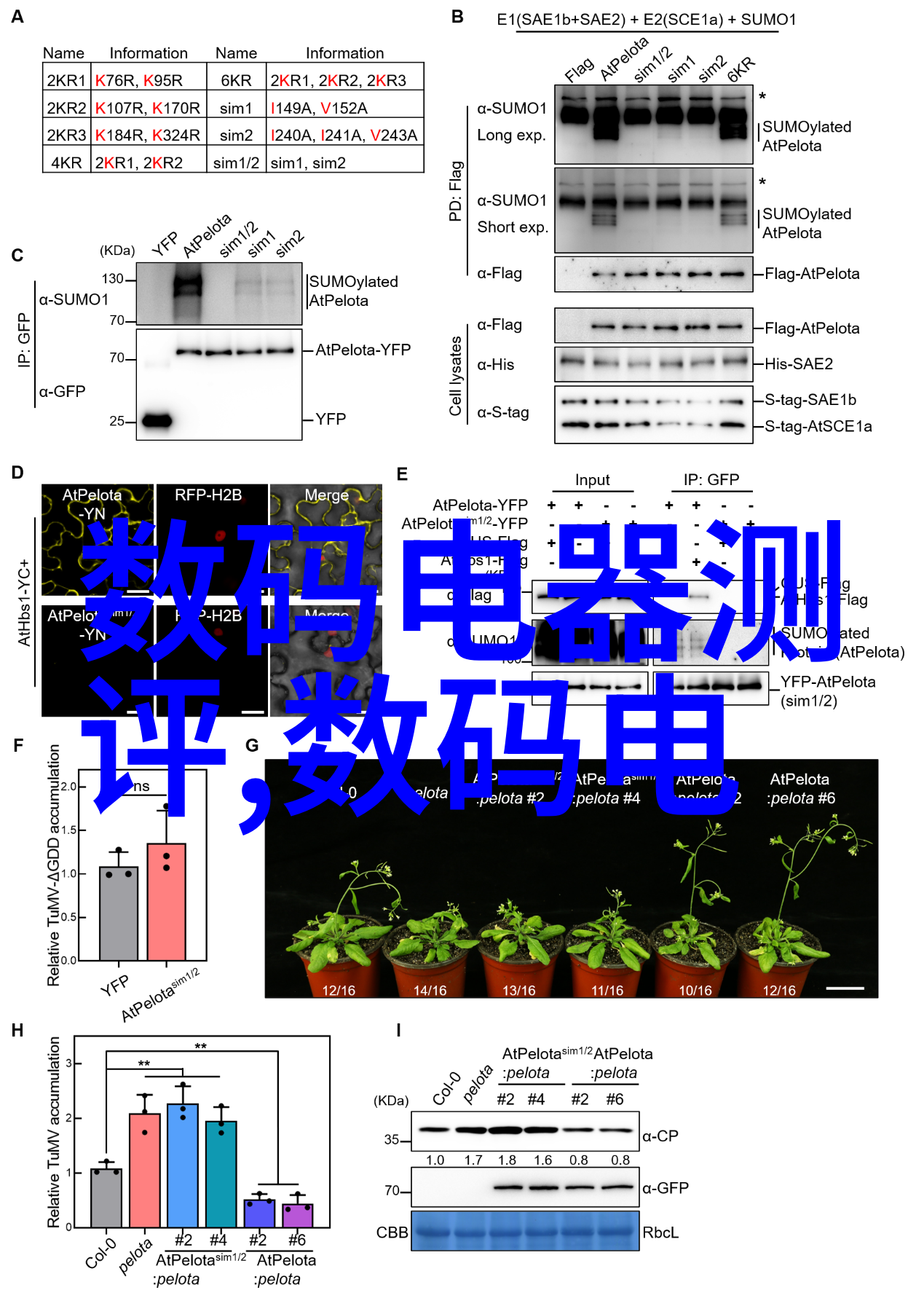 应用场景不同不锈钢波纹管或编织管选哪种