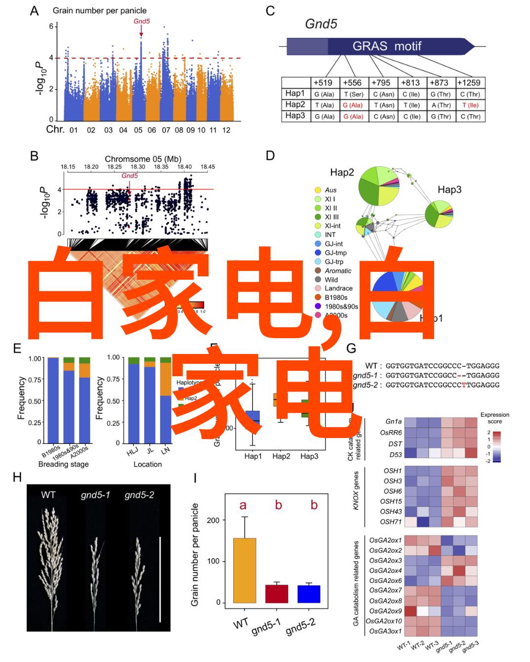 水质之谜tds高是否昭示着污染的脚步