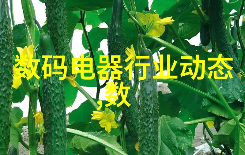 家庭用冰柜冷冻温度调节让您的食物保持最佳保存状态