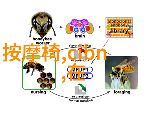 专利申请之旅个人如何从头到尾管理自己的专利申请