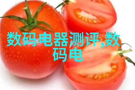 带式干燥机高效率工业物料干燥设备