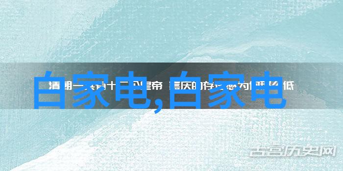 水电安装工程投标文件详细的水力发电设备安装和配置方案