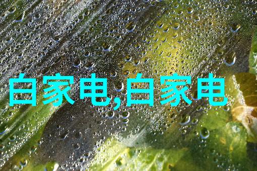 国内外经济形势如何影响不锈钢304的最新价格走势