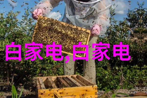 小户型居家装修艺术创意空间利用与美学配搭