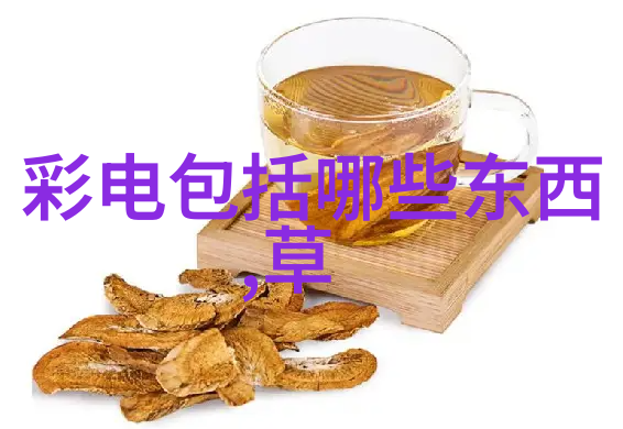 女生最吃香的冷门专业从零到英雄的逆袭