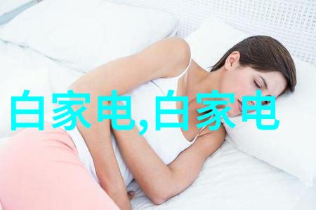 网红厨房必备揭秘那些让饭桌变美的经常用到的小家电