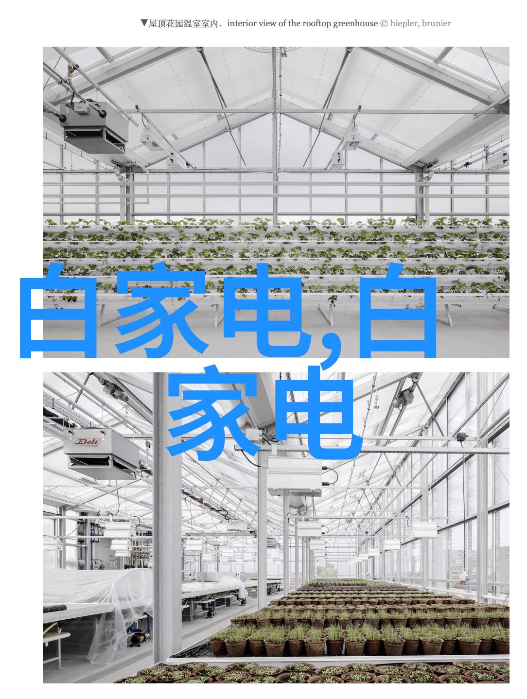 如何运用植物或绿植来改善公众厕所环境并增加自然美感呢